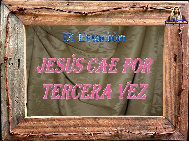 VIA CRUCIS 2016 Div> 